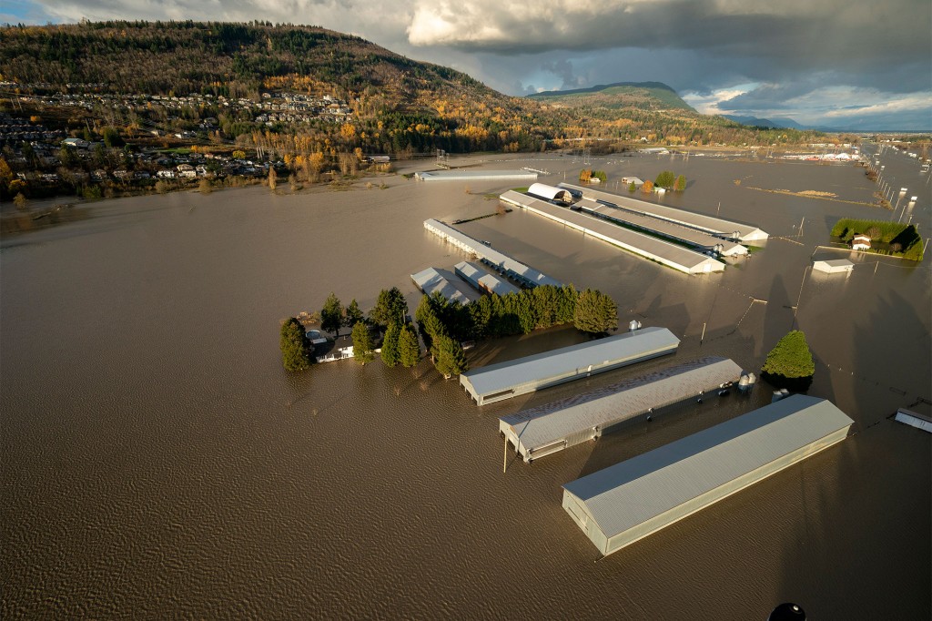Rising flood waters are seen surrounding barns in Abbotsford, British Columbia.